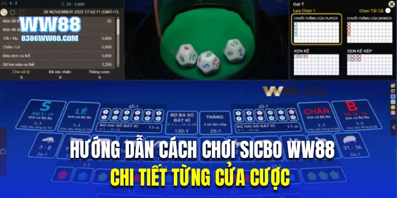 Hướng dẫn cách chơi Sicbo WW88 chi tiết từng cửa cược 