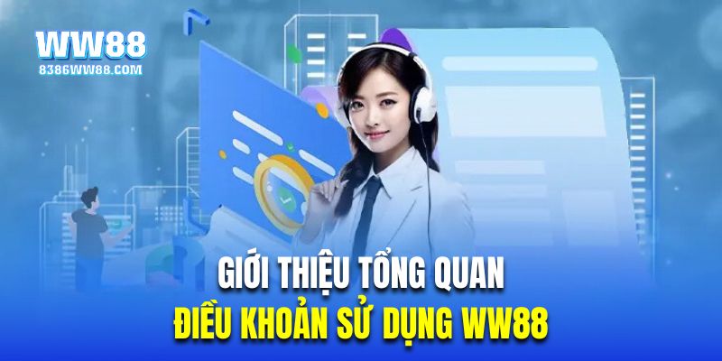 Giới thiệu tổng quan về chính sách điều khoản sử dụng